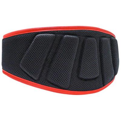 MuscleXP Gym Nylon Padded Weight Lifting Belt - Black (XL) 1's - Gym Accessories