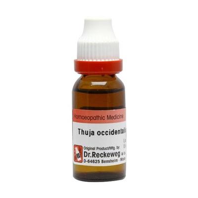 Dr. Reckeweg Thuja Occidentalis Ø Liquid 20 ml - Mother Tincture