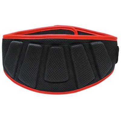 MuscleXP Gym Nylon Padded Weight Lifting Belt - Black (L) 1's - Gym Accessories