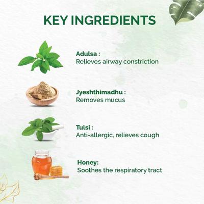Dr. Vaidya's Tulsi- Ginger Cough Syrup (Pack of 4 x 100 ml) - Cough & Cold (Ayush)
