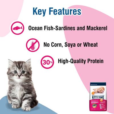 Kitty Yums Kitten(1-12 Months) Dry Cat Food, Ocean Fish 3000 gm - Petfood