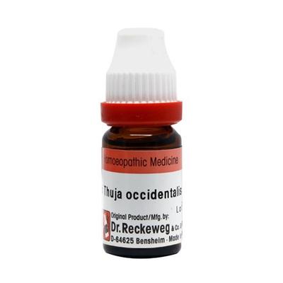 Dr. Reckeweg Thuja Occidentalis 1M Liquid 11 ml - Dilutions