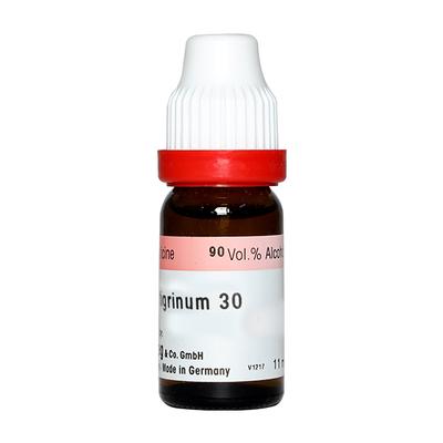 Dr. Reckeweg Lillium Tigrinum 30 Liquid 11 ml - Dilutions