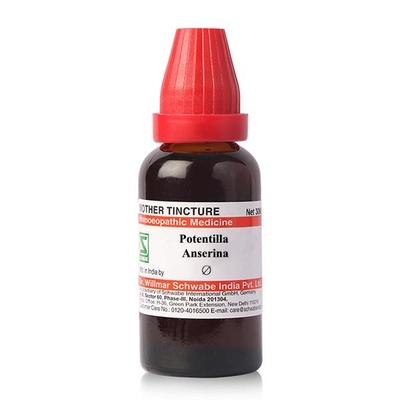 Dr.Willmar Schwabe Potentilla Anserina Ø Liquid 30 ml - Mother Tincture