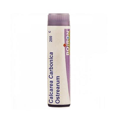 Boiron Calcarea Carbonica Ostrearum 200C Multi Dose PELLETS 4 GM - Triturations (Homeo Tablets)