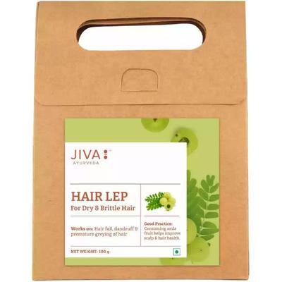 Jiva Ayurveda Hair Lep for Dry & Brittle Hair 100 gm - Personal Care (Ayush)