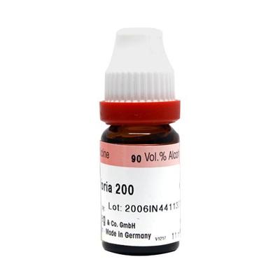 Dr. Reckeweg Baptisia Tinctoria 200 Liquid 11 ml - Dilutions