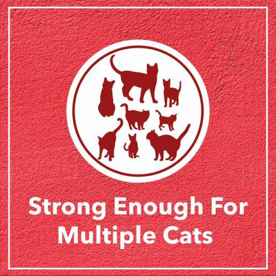 Drools Clumping Lavender Fragrance Cat Litter (For multiple cats) 10000 gm - Pet accessories