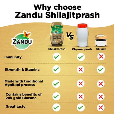 Zandu Shilajitprash 900 g - Chyawanprash
