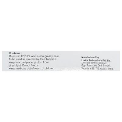 MUPIGRAM Ointment 10gm - Skin Infections-Toa