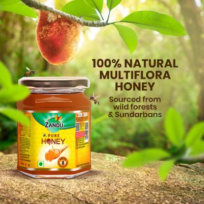 Zandu Pure Honey 250 gm - Honey
