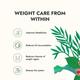 Kapiva Weight Wise Foods Get Slim Green Tea Bag 30's - Weight Loss