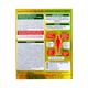 Aimil Semento Capsule 20's - Speciality Medicines