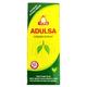 Yogi Adulsa Cough Syrup 100 ml - General Health