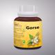 Bio-India's Bach Flower - Gorse 30 ml - Bach Flower