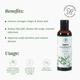 Forestreasures Hair and Scalp Nourishment Oil 100 ml - Digestive Care