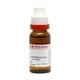 Dr. Reckeweg Kalmegh Q Andrographis Paniculata Liquid 20 ml - Mother Tincture