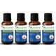 Dr. Vaidya's Tulsi- Ginger Cough Syrup (Pack of 4 x 100 ml) - Cough & Cold (Ayush)