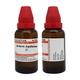 Dr.Willmar Schwabe Berberis Aquifolium Ø Liquid 30 ml - Mother Tincture