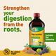 Zandu Pancharishta Digestive Tonic 450 ml - Digestive Care
