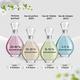 The Body Shop White Musk Fragrance for Men 100ml - Perfumes (Edt/Edp)