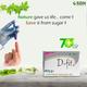 Shree Dhanwantri Herbals D-fit Capsule (Pack of 4 x 15's) - Speciality Medicines