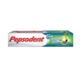 Pepsodent Lavang & Salt Toothpaste 100 gm - Toothpaste