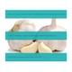 20 Microns Herbal Garlic Extract Capsule 60's - Speciality Medicines