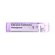 Boiron Calcarea Carbonica Ostrearum 1M Multi Dose PELLETS 4 GM - Triturations (Homeo Tablets)