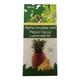 LUPIZYME SF PINEAPPLE FLAVOUR Syrup 200ml - Digestion-Dig