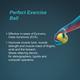 Tynor Exercising Ball - Ortho (H 05) - Abdomen/Neck/Arm/Elbow Supports