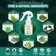 Mom & World Mosquito Repellent Room Spray (3+ Months) 100 ml - Mosquito Repellent