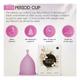iCare Hygienic Menstrual Cup (Up to Age of 25 Years Or Before Childbirth 1) - Small - Menstrual Cups