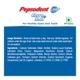 Pepsodent Lavang & Salt Toothpaste 100 gm - Toothpaste