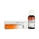 Dr. Reckeweg R54 Imbelion Functional disturbances of the Brain Drops 22 ml - Homeopathic Drops