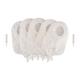 Bao Health Two Piece Urostomy Bag (4036001) (60 mm) 15's - Urology Supplies