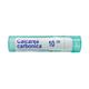 Boiron Calcarea Carbonica Ostrearum 10M Multi Dose PELLETS 4 GM - Triturations (Homeo Tablets)