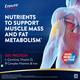 Ensure High Protein Nutrition Powder - Vanilla Flavour 200 gm (Refill Pack) - Daily Health Drinks