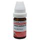 Dr. Willmar Schwabe Acidum Oxalicum 200 CH Drops 10 ml - Homeopathic Drops