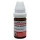 Dr. Willmar Schwabe Acidum Nitricum 1M Drops 10 ml - Dilutions