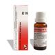 Dr. Reckeweg R19 Euglandin-M Glandular Drops for Men 22 ml - Homeopathic Drops