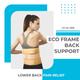 Vissco Eco Frame Back Support (L) 1's - Abdomen/Neck/Arm/Elbow Supports
