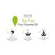 Aroma Treasures Pure Essential Oil - Tea Tree 10 ml - Essential Oils
