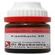 Dr. Reckeweg Cantharis Vesicatoria 30 Liquid 11 ml - Dilutions