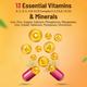 Gynoveda Ayurvedic Multivitamin Capsule (Pack of 2 x 30's) - Multi-Vitamins