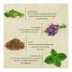Bioayurveda Basics Youth Sport Anti-Fungal Foot Creme 120 gm - Foot Creams & Lotions