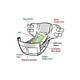 AroKleen Disposable Adult Diaper (L) (102 cm - 150 cm) (Pack of 6 x 10's) 1's - Adult Diapers & Pads