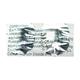 MOXCLAV 1gm Tablet 10's - Bacterial Infections-Pen