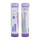Boiron Blatta Orientalis 30C Multi Dose PELLETS 4 GM - Triturations (Homeo Tablets)