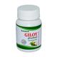 Lama Giloy Ghanbati Tablet 400's - Giloy